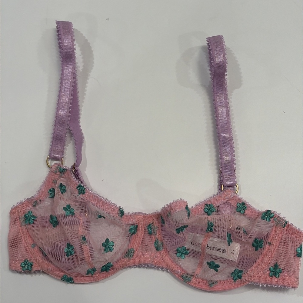 Dora Larsen Embroidered Mesh Underwire Bra 32B Pink Green Lavender Floral Sheer